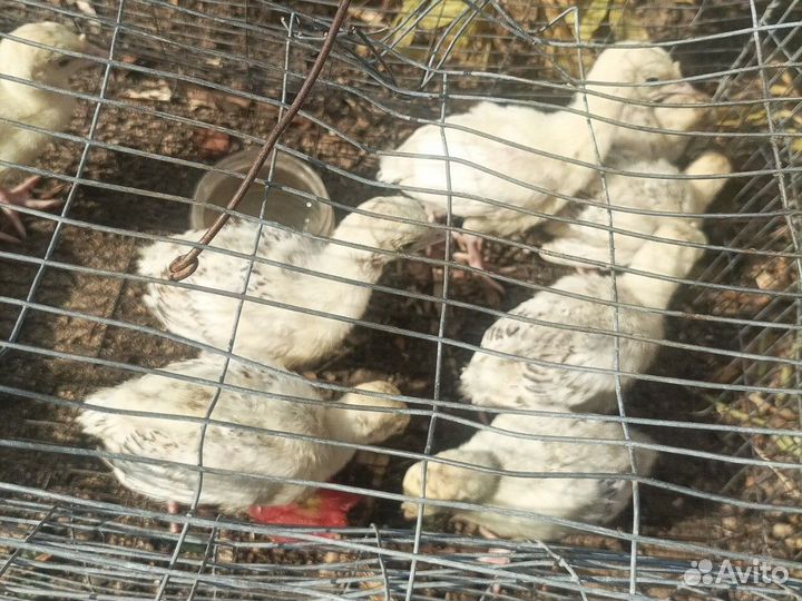 Продаю свое