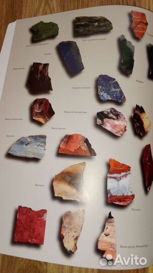 Три века янтарного чуда