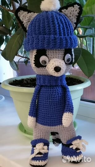 Стильный енот