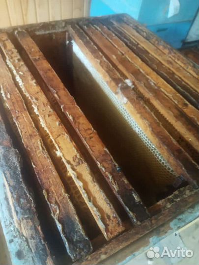 Мед домашний