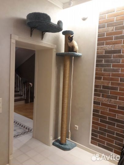 Когтеточка 190см