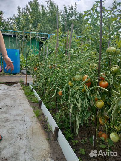 Фермерские продукты