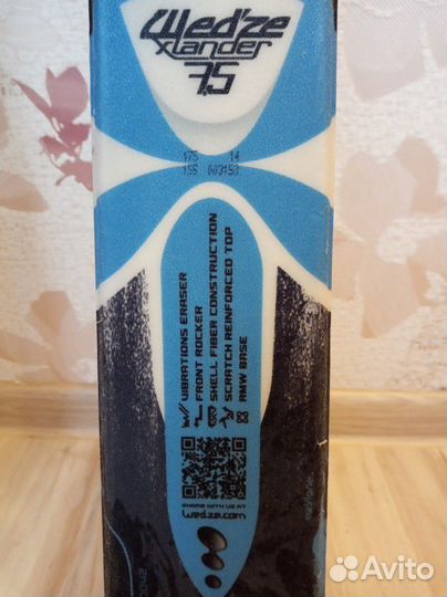 Горные лыжи