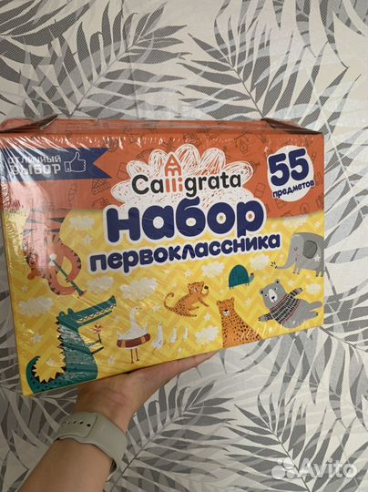 Набор первоклассника 55 предметов