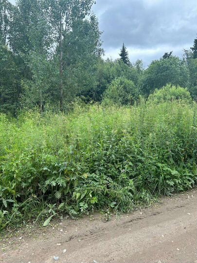 Участок 15 сот. (ИЖС)