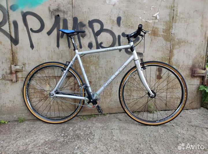 Kellys physio 10 2016