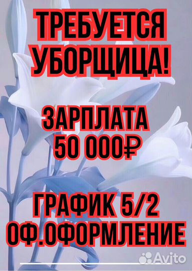 Уборщица в Ямал-авто на график 5/2