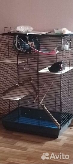 Клетка для грызунов большая