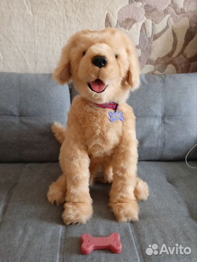 Собака игрушка