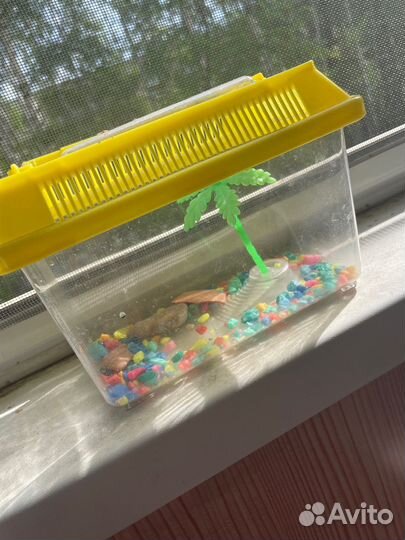 Террариум для черепахи