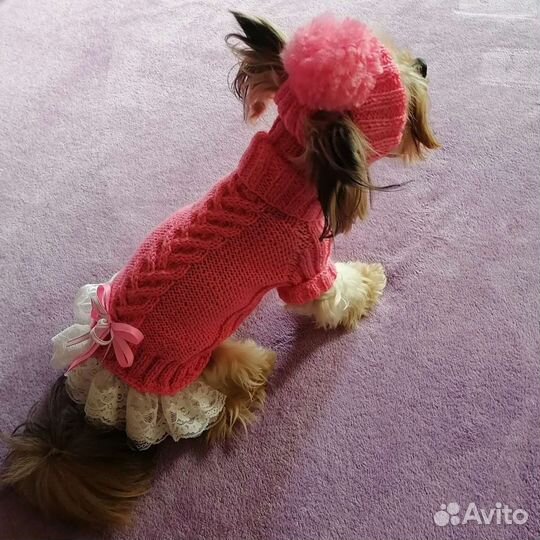 Одежда для хвостиков