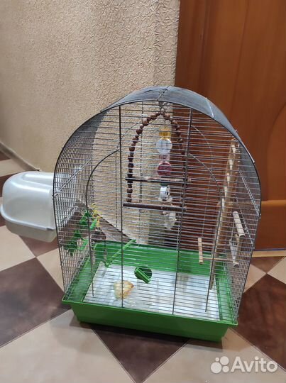 Клетка для крупного попугая