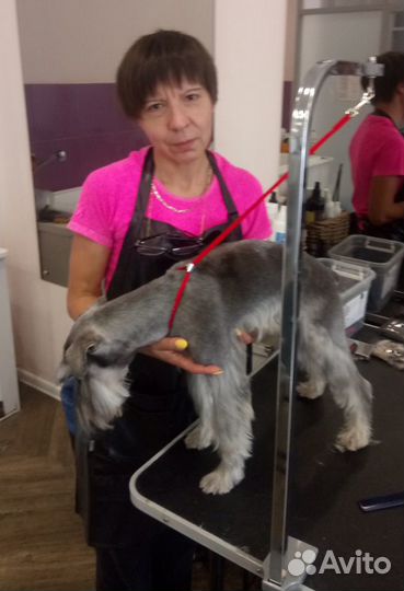 Стрижка животных: собаки, кошки, кролики