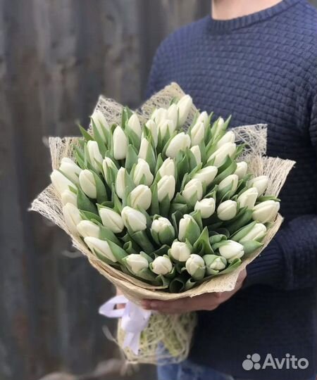 Тюльпаны Цветы букеты доставка