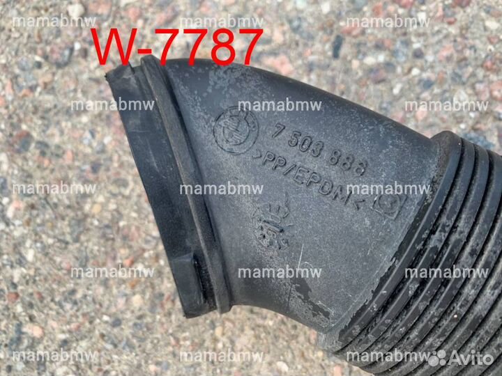 Воздуховод генератора 7503886 BMW E53 X5