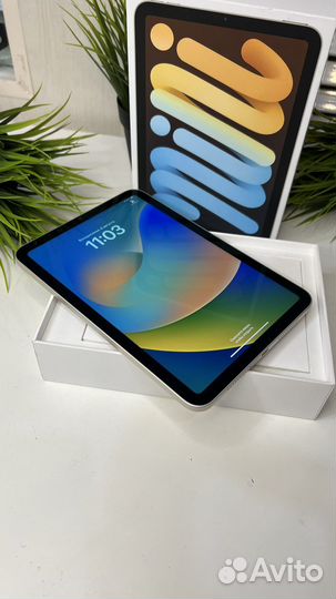 Apple iPad Mini 6 64Gb WiFi Starlight акб 100