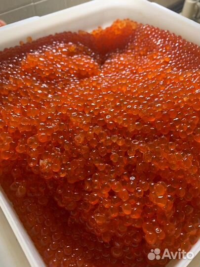 Икра красная кеты, горбуши премиум