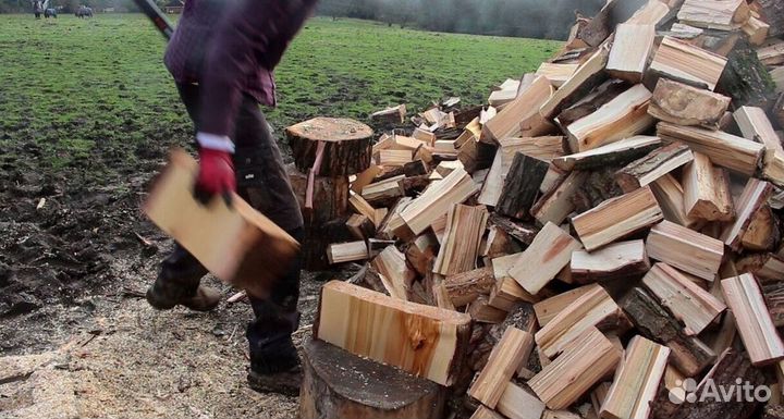 Дрова из леса