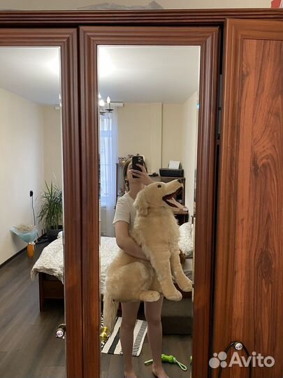 Большая плюшевая собака