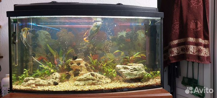 Аквариум