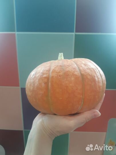 Семена тыквы