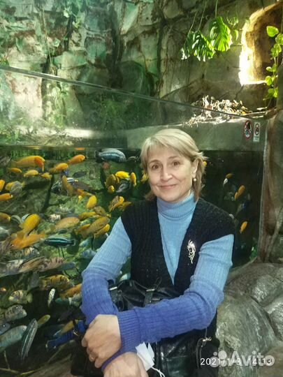 Главный бухгалтер