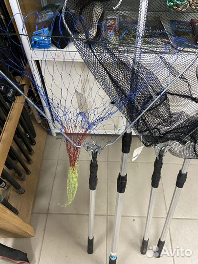 Подсачник рыболовный