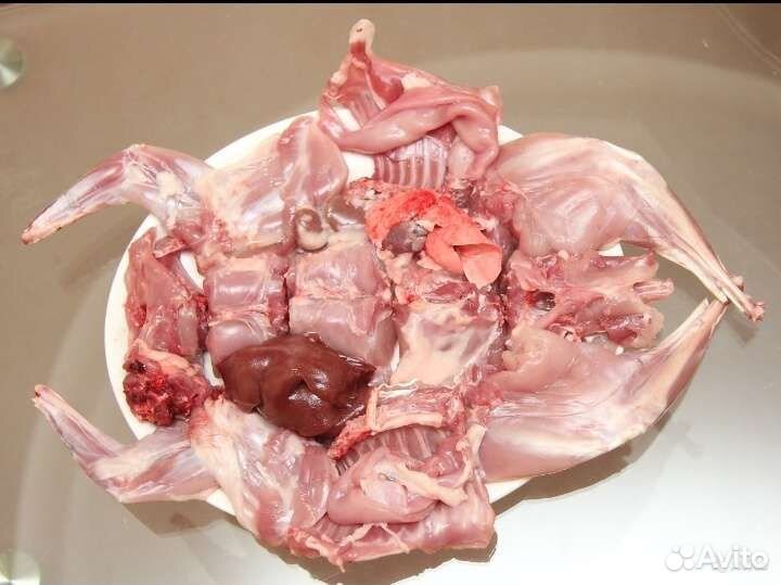 Яйца домашние, молоко козье, мясо кролика