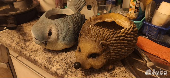 Подцветочники