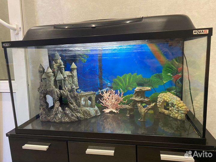 Аквариум