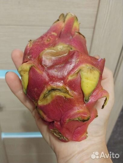 Питахайя. Семена