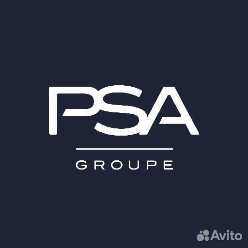 Peugeot-citroen 9807439480 Компл прокладок ORG