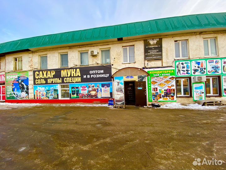 Чай жамбо казахстан