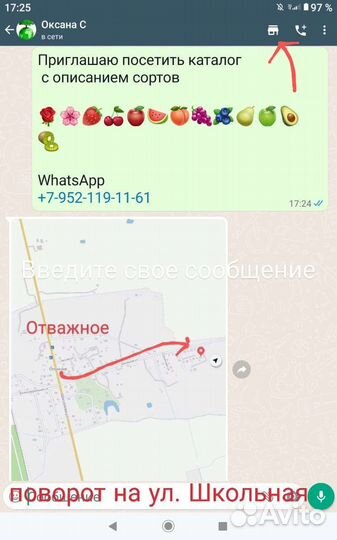 Жимолость с урожаем