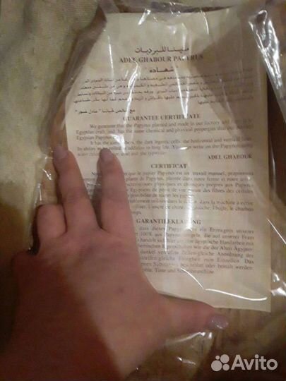 Папирус из египта Кошка