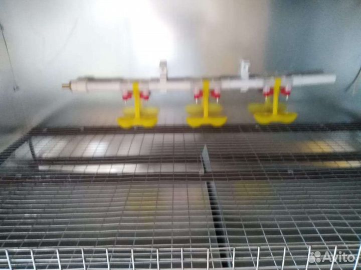 Клетка-брудер