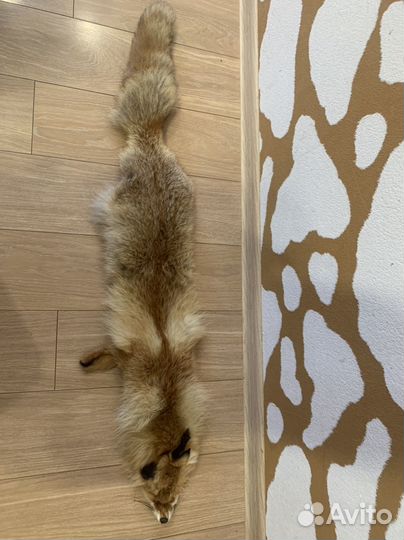 Шкурка лисы