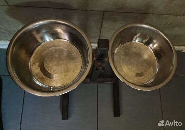 Стойка кормушка для собак крупных пород