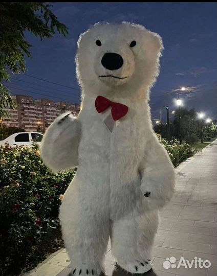 Поздравление от Белого, Бурого мишки или Тигренка