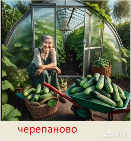 Теплица 3*4 3*6