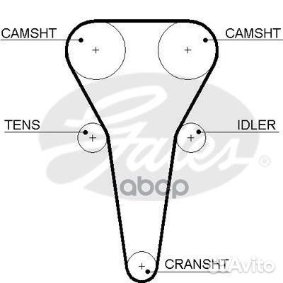 Ремень грм KIA 1.5-1.6 00-05 (137x22) 5567XS Gates