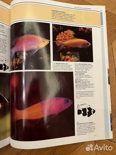 Книга The Marine Aquarium