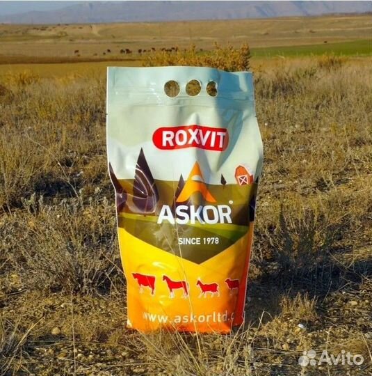 Премикс П3 для молодняка яичных и мясных кроссов