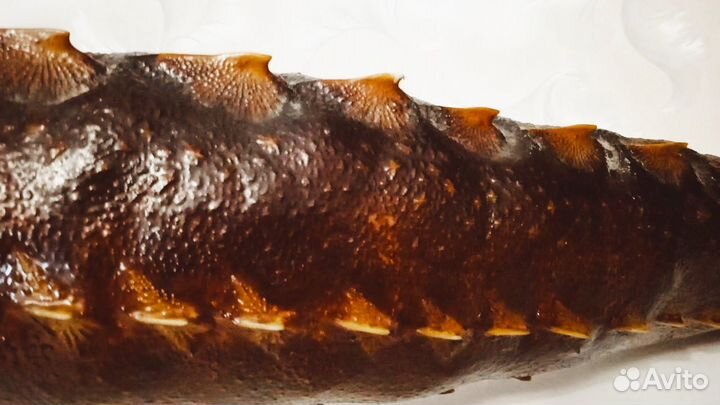 Чучело рыбы