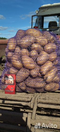 Продукты питания