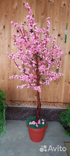 Декоративные