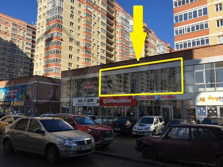 Торговая площадь, 250.5 м²
