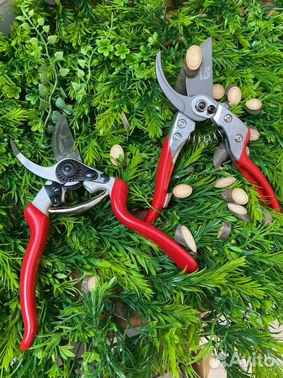 Чудо секатор