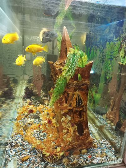 Продам аквариум