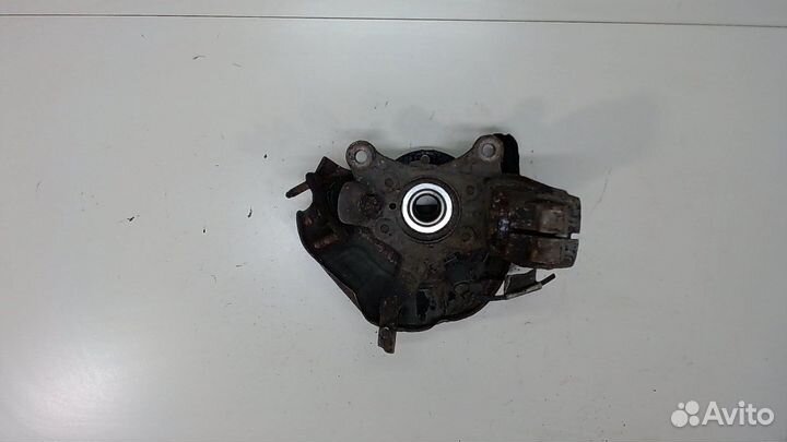 Ступица (кулак, цапфа) Seat Leon 2, 2008